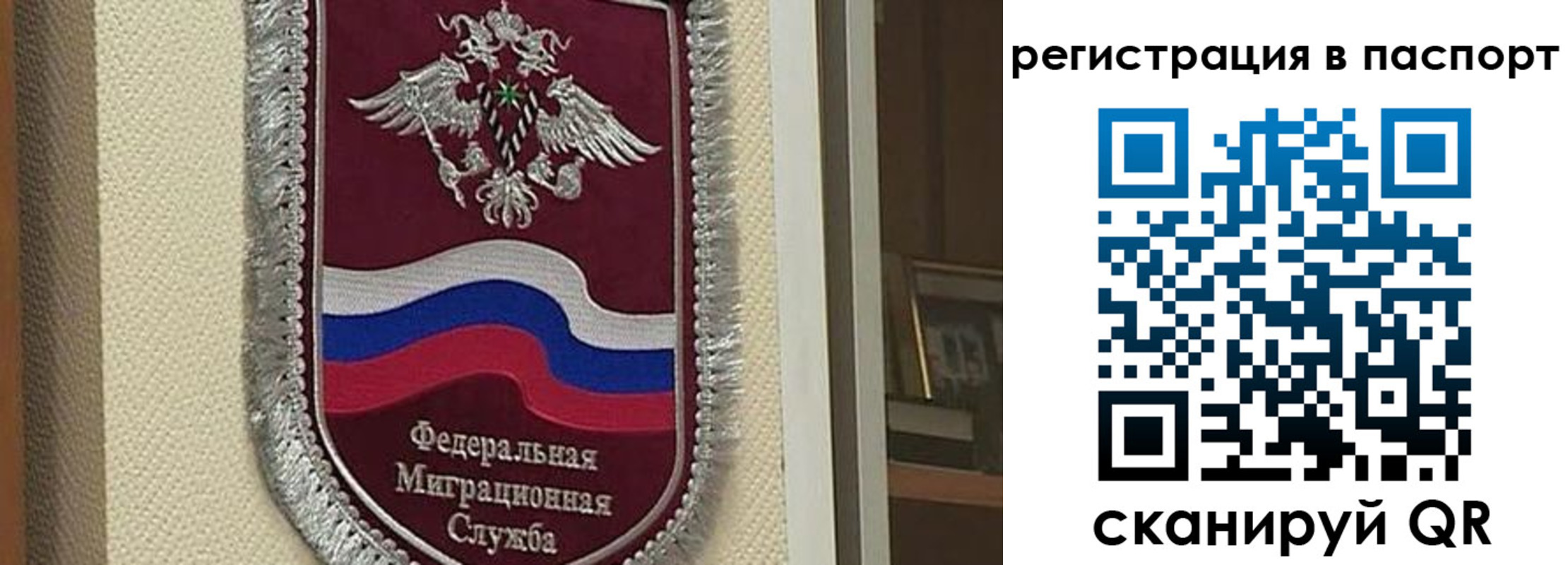 прописка законно в Светлом